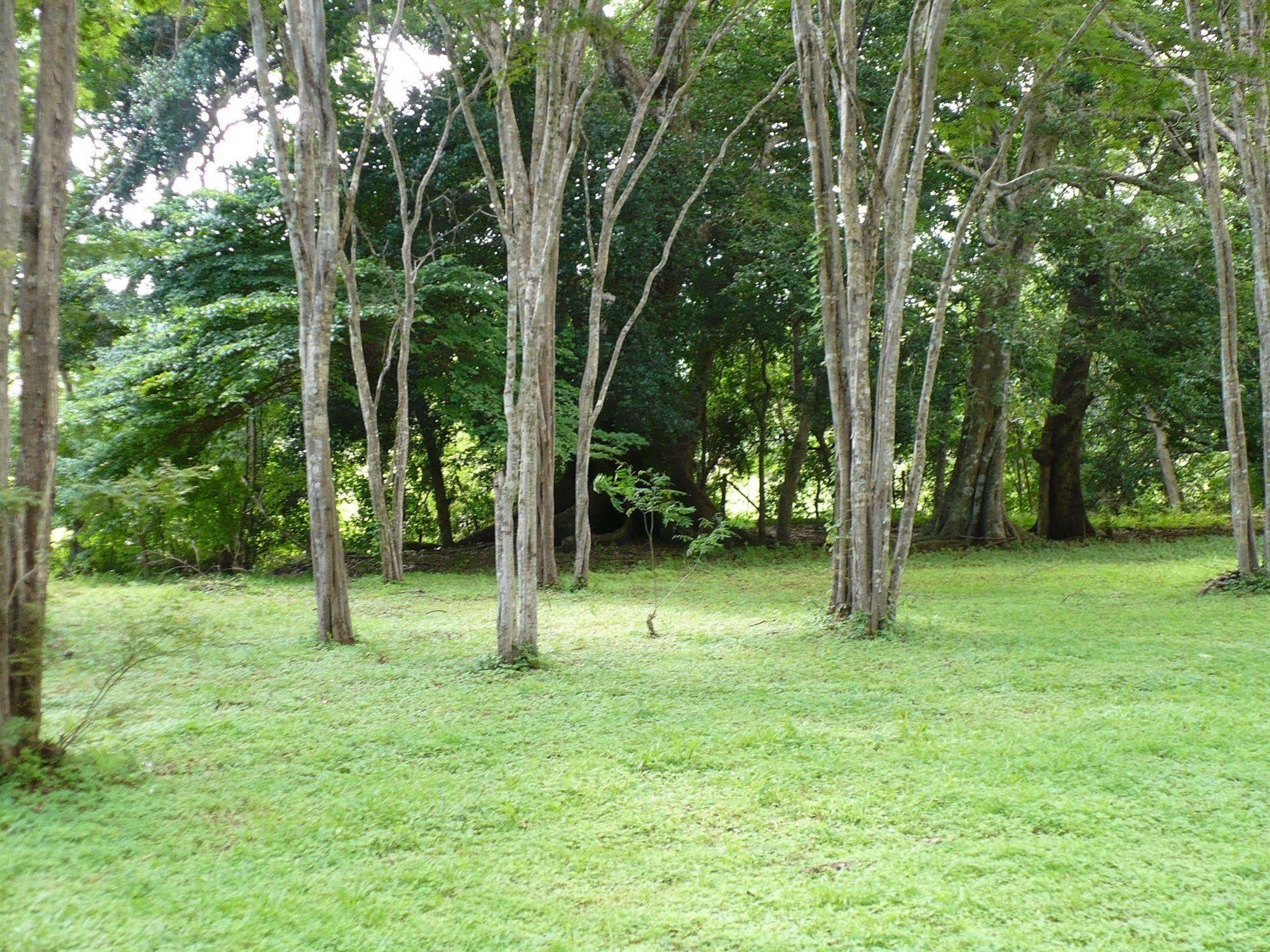 Finca Buena Fuente Residence Hotel Nicoya Exterior foto